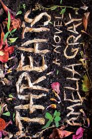 The opening chapters of "Threats" by Amelia Gray can be read at Newfound.