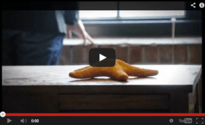 Here's a cool book trailer video for I'm Not Saying, I'm Just Saying. 