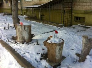 In "Selling Your First Soul," an essay in Granta, writes about returning to Russia to visit her sick grandmother.